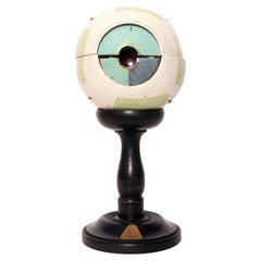 Anatomical model: a decomposable eyeball, SOMSO, Germany circa 1930.
