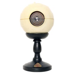 Modelo anatómico: un globo ocular descomponible, SOMSO, Alemania, hacia 1950.