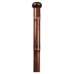 System walking stick with the function of a musical instrument. France 1890.