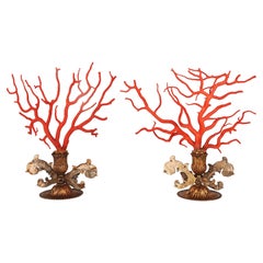 Ein Paar Zwei Zweige mediterraner roter Korallenzweige (Corallium Rubrum), Sizilien 1790