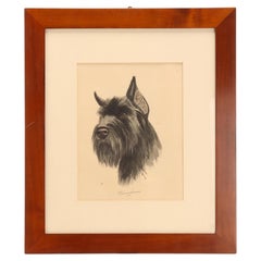 Portrait depicting the head of a Schnauzer dog, cherry frame, Germany 1930s.