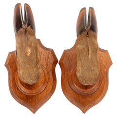 A hunting rifle holder with deer legs, France 1920.