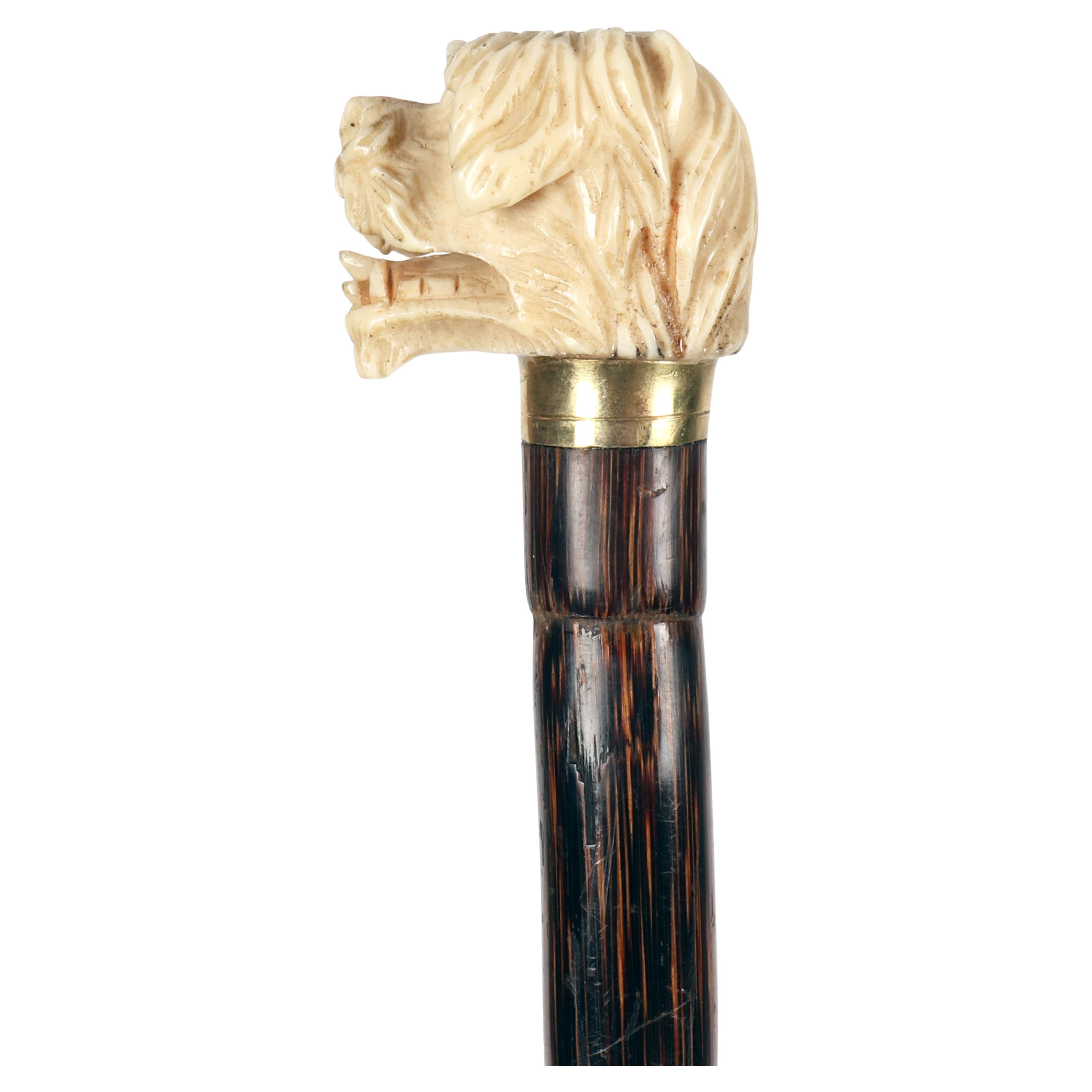 Ivory handle walking stick depicting a dog’s head, England 1890.