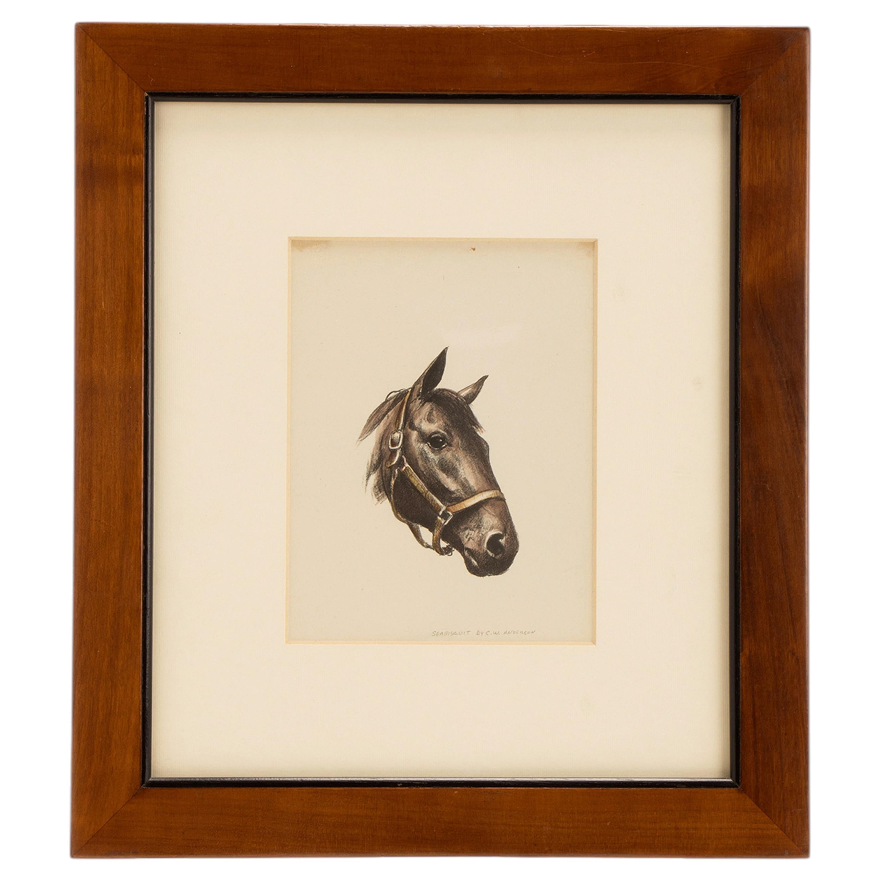 A color lithograph depicting a horse head, United States of America 1950.