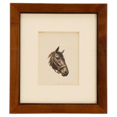 A color lithograph depicting a horse head, United States of America 1950.