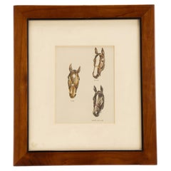 A color lithograph depicting three horse’s heads, United States of America 1950.