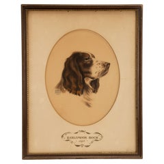 A color print depicting the head of a cocker spaniel dog, USA 1937.