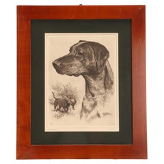 Gravure à l'eau-forte représentant un chien de chasse avec un faisan, USA 1930.