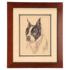 Ritratto di Jim, un cane Boston Terrier, USA 1930.