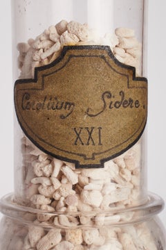 A French glass wunderkammer ampulla with original label, circa 1870.