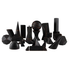 Un conjunto de 26 maquetas de madera ebonizada para uso educativo, Italia, principios del siglo XX.