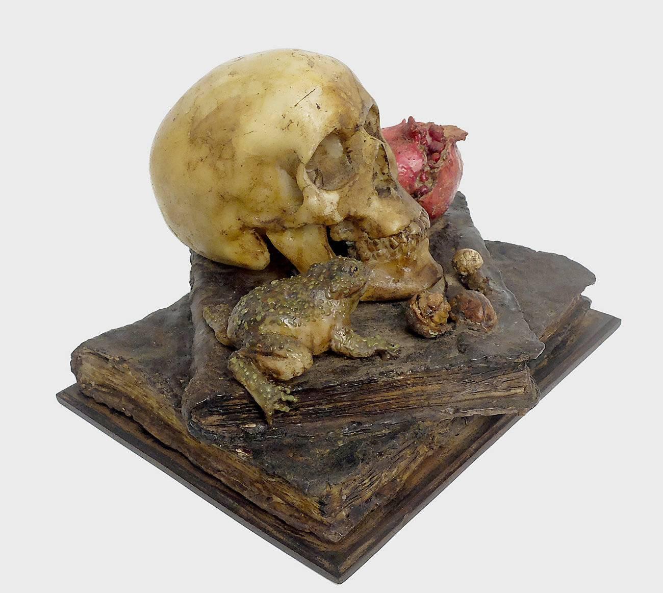 An important and rare Italian Wunderkammer Memento Mori sculpture, depicting a skull , a pomegranate, a toad, a snail ,a nut and two combusted books. The entire sculpture is made out of colored wax and placed over a black wooden board. Inside the