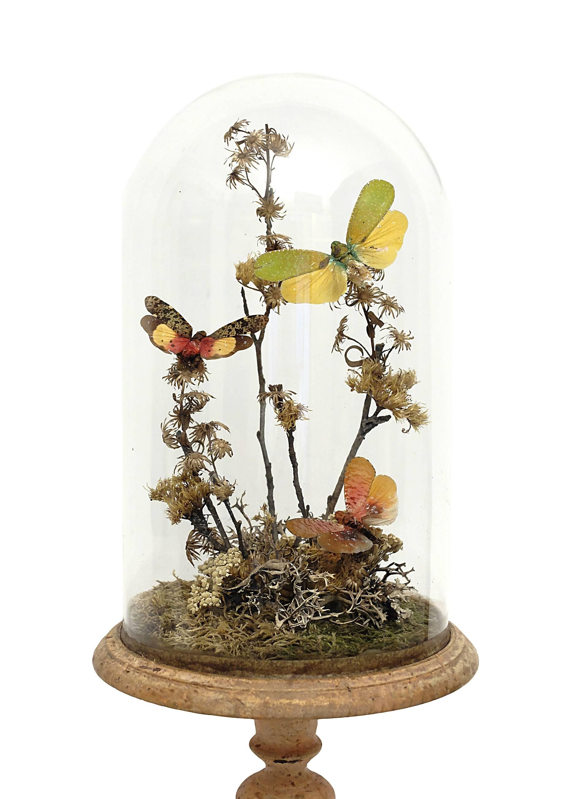 A Diorama with natural Wunderkammer Specimens of butterflies, yellow and green color, leaned over flowering tree branches willing over moss. The Specimens are mounted inside a little glass dome over a lite terracotta color painted wooden base.