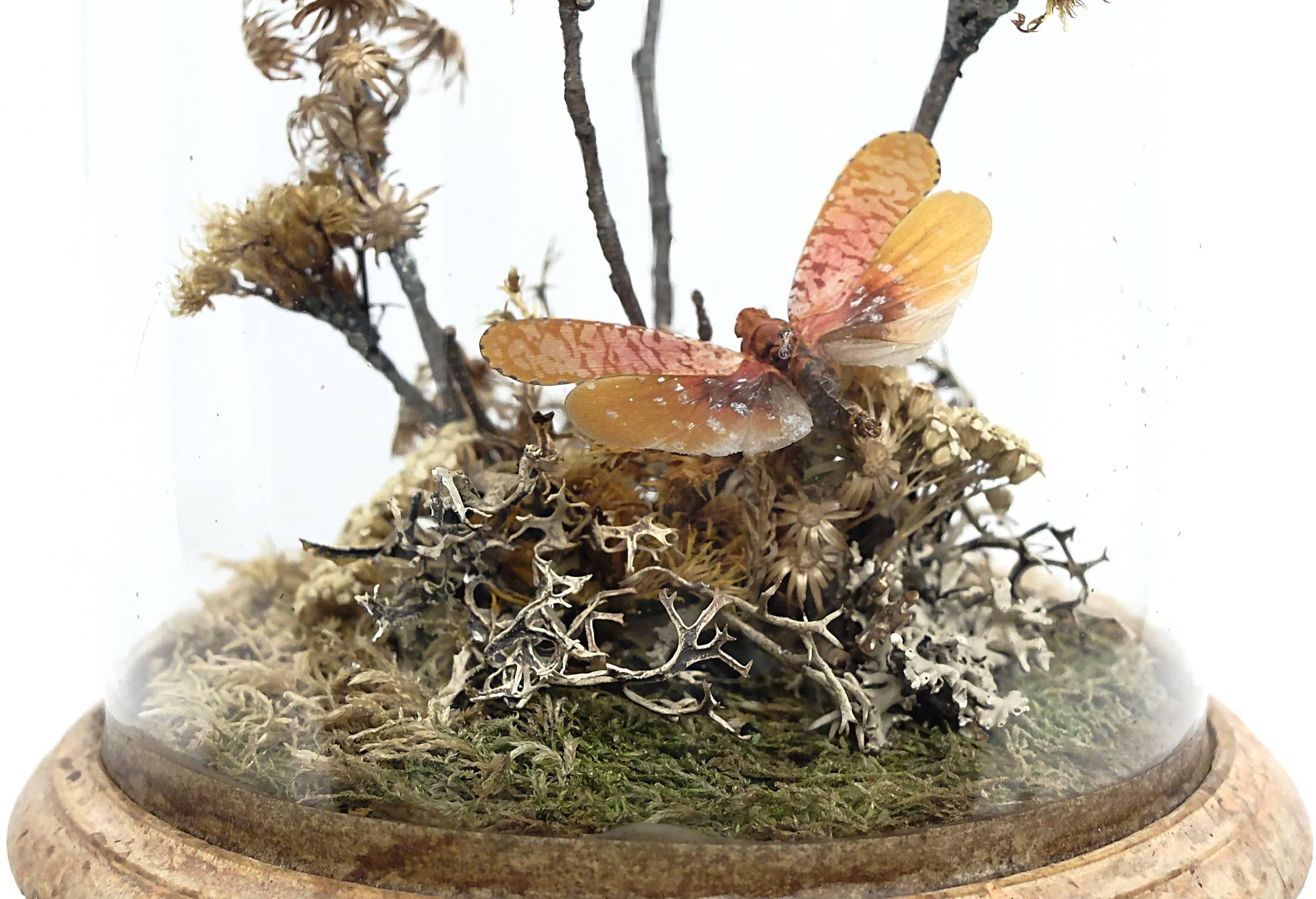 Wunderkammer Natural Diorama with Butterflies and Flowers. Italy, circa 1880 In Excellent Condition In Milan, IT