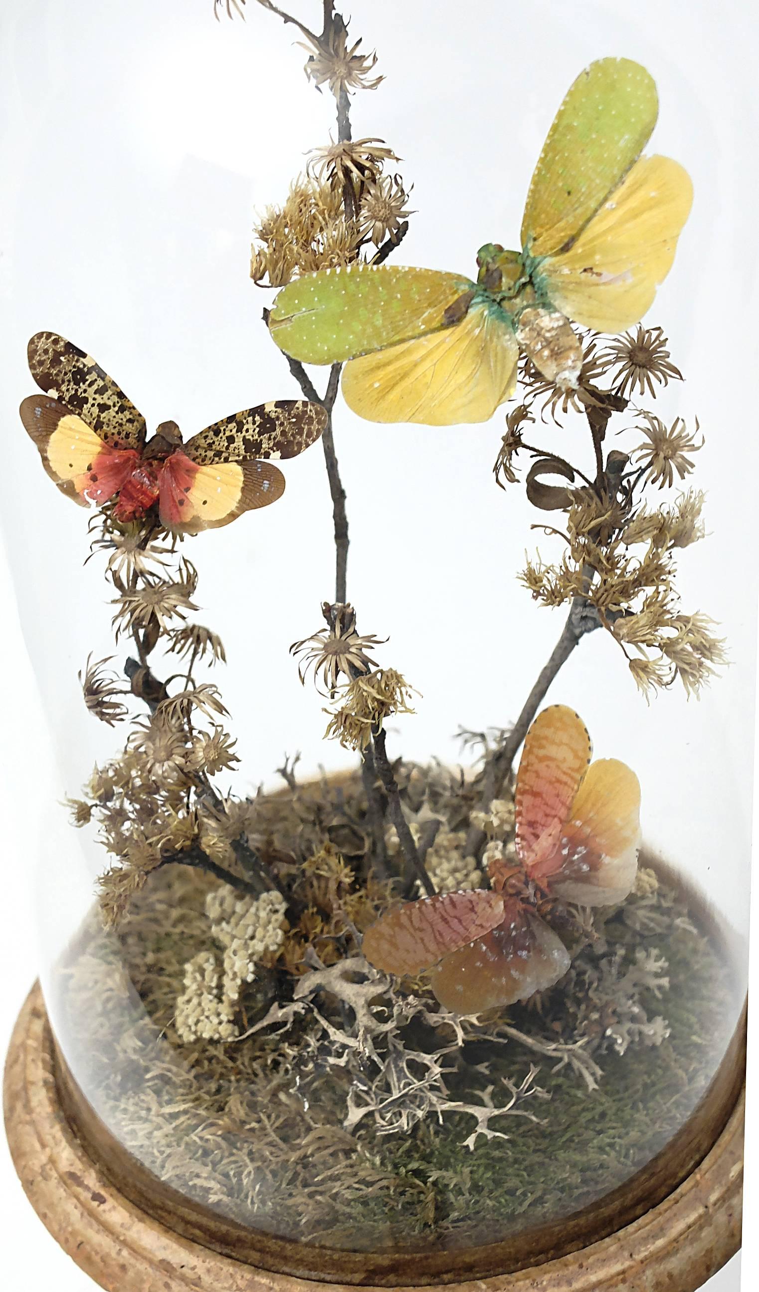 Late 19th Century Wunderkammer Natural Diorama with Butterflies and Flowers. Italy, circa 1880