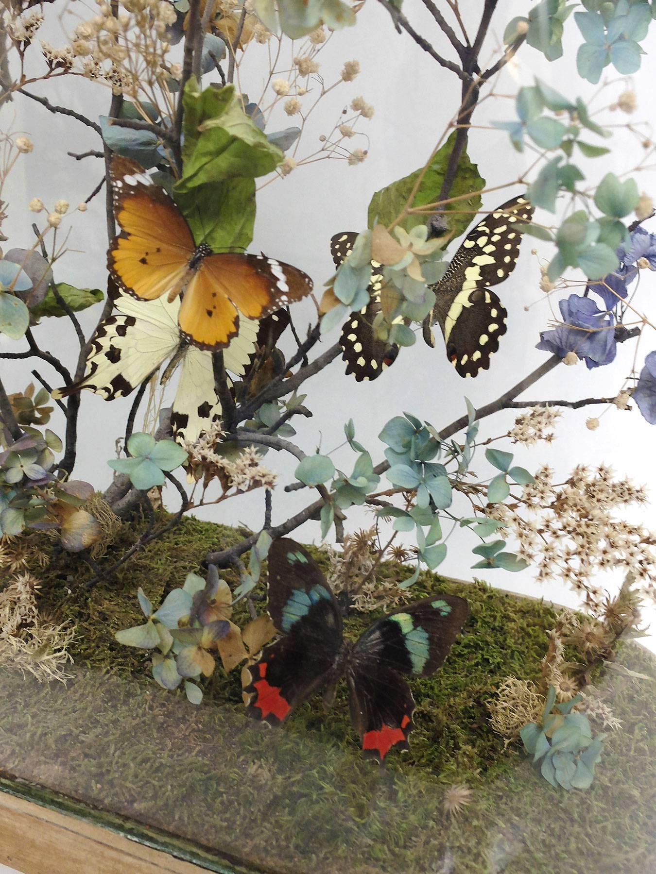Italian Splendid and Unique Wunderkammer Diorama with Butterflies and Flowers