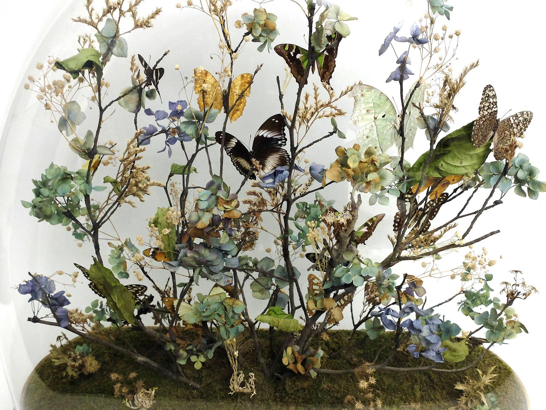 Splendid and Unique Wunderkammer Diorama with Butterflies and Flowers In Good Condition In Milan, IT