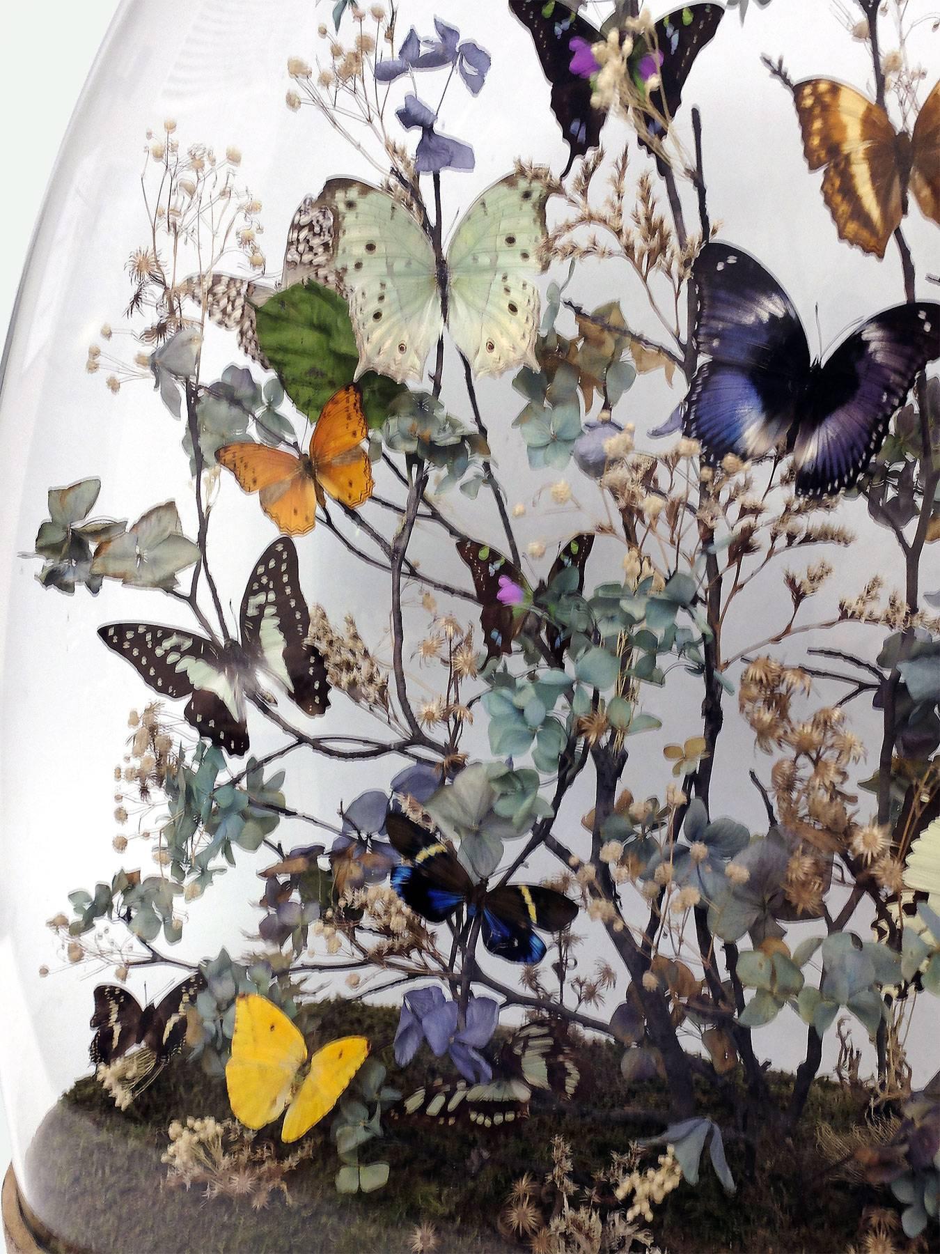 Natural Fiber Splendid and Unique Wunderkammer Diorama with Butterflies and Flowers