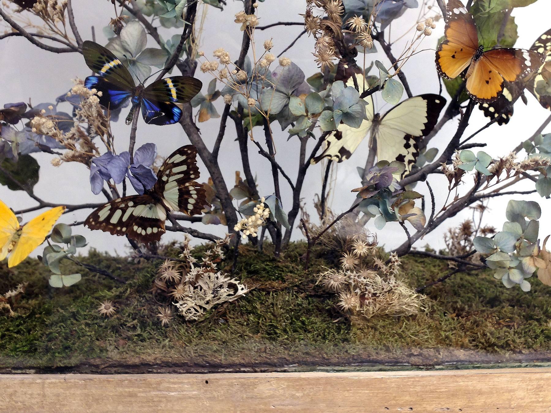 Late 19th Century Splendid and Unique Wunderkammer Diorama with Butterflies and Flowers