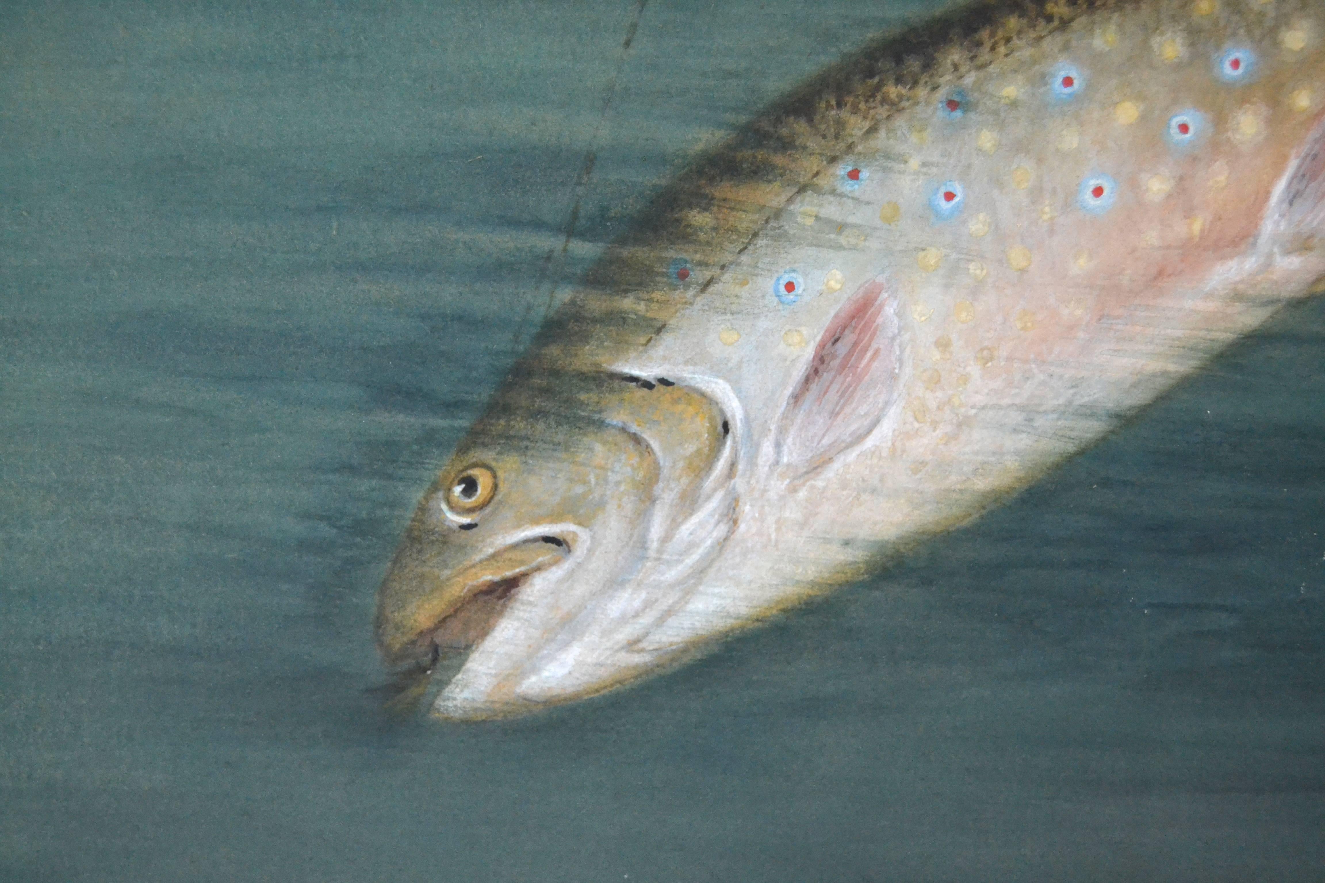 Luminous gouache on board of a leaping brook trout taking the hook painted in the late 19th century by the American artist Sid Bickford (1862 -1947). Great impressionistic light and beautiful detail on the trout. In a walnut frame with gilt liner