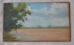 Plein Air Paintings from Argentina