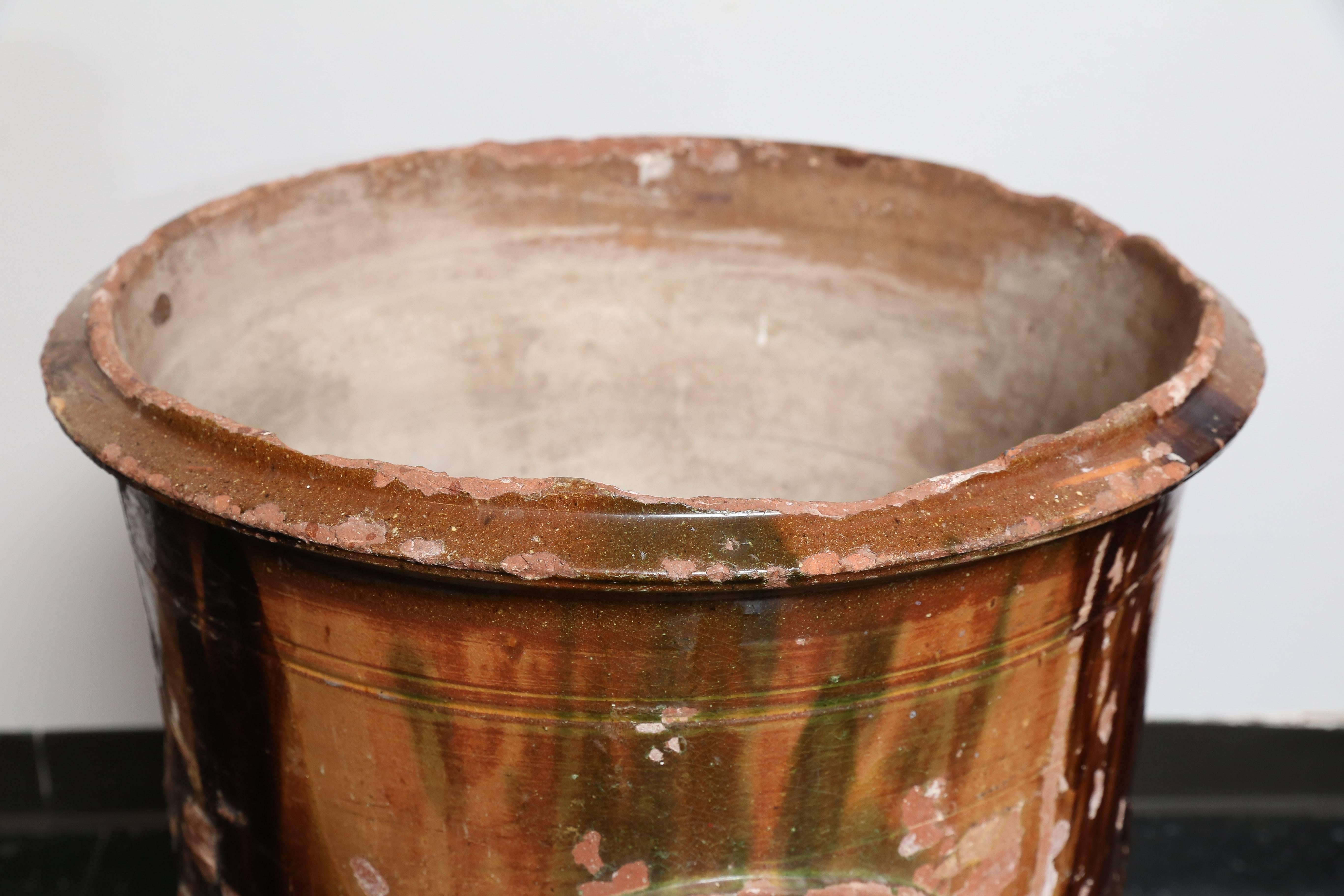 Anduze-Vase aus dem 19. Jahrhundert (Ton) im Angebot