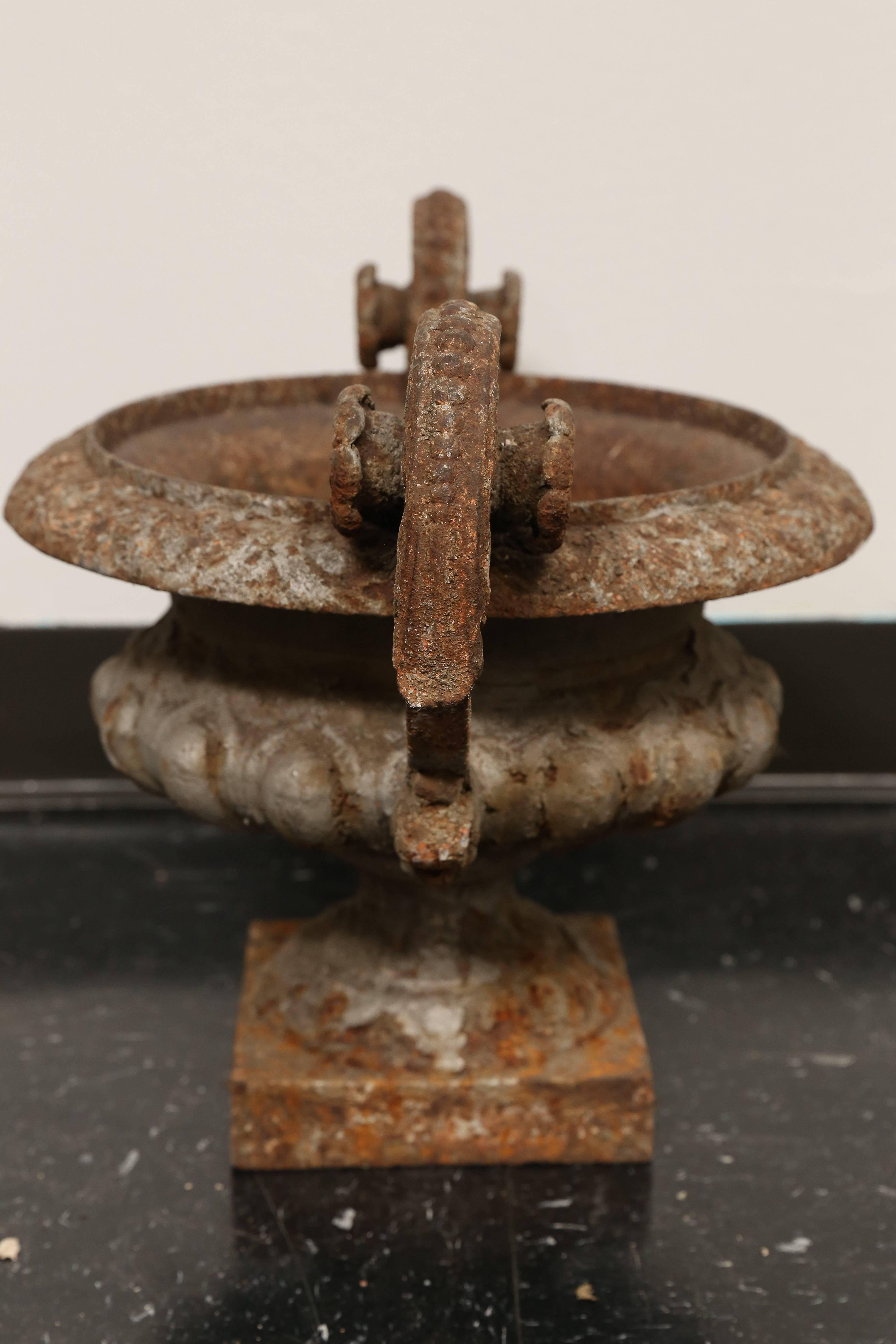 19th Century French Iron Garden Urn In Excellent Condition For Sale In Houston, TX