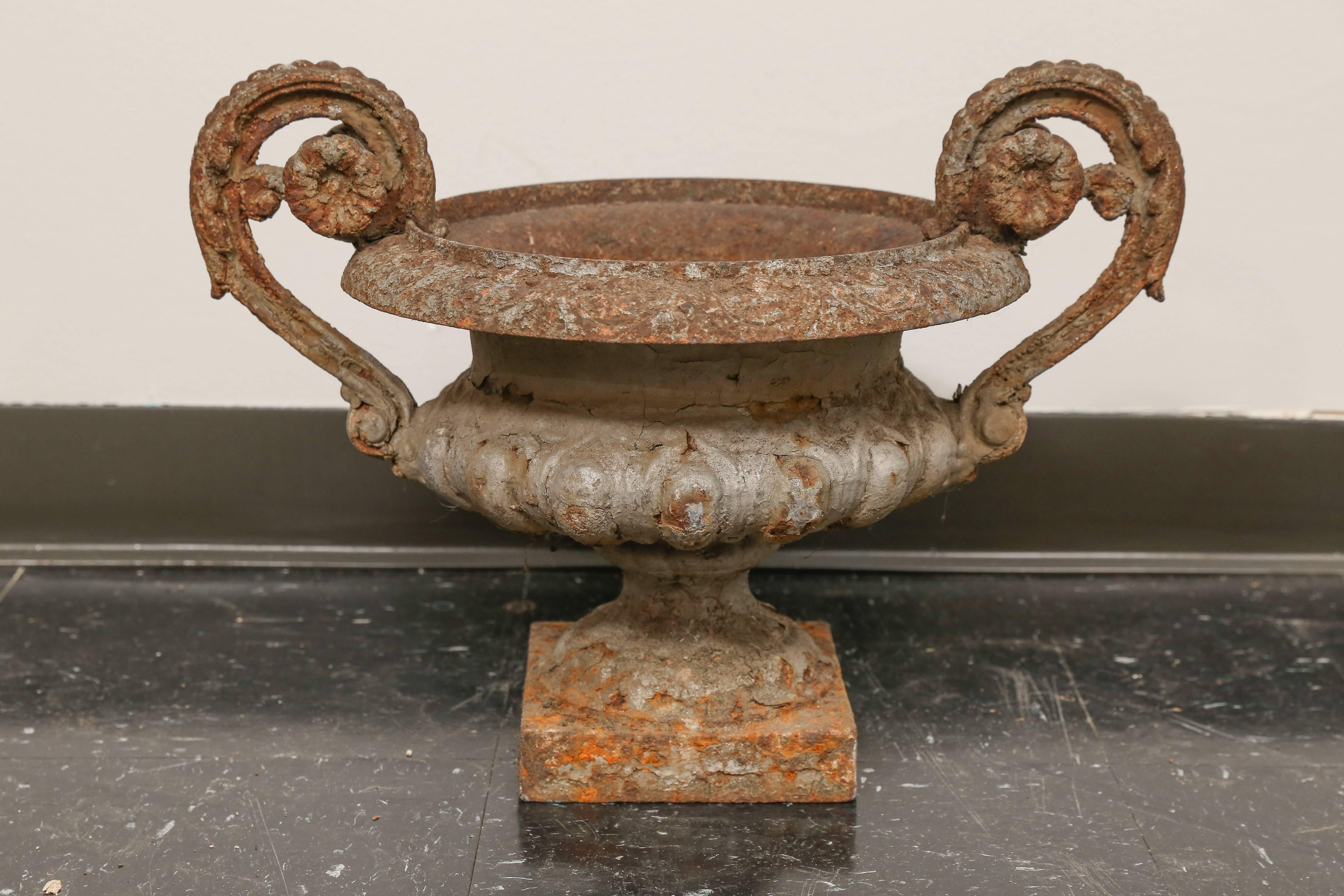 19th Century French iron garden urn with curled handles and flower motif. Interior circumference is 8 inches. Square base is 6.5 inches by 6.5 inches.