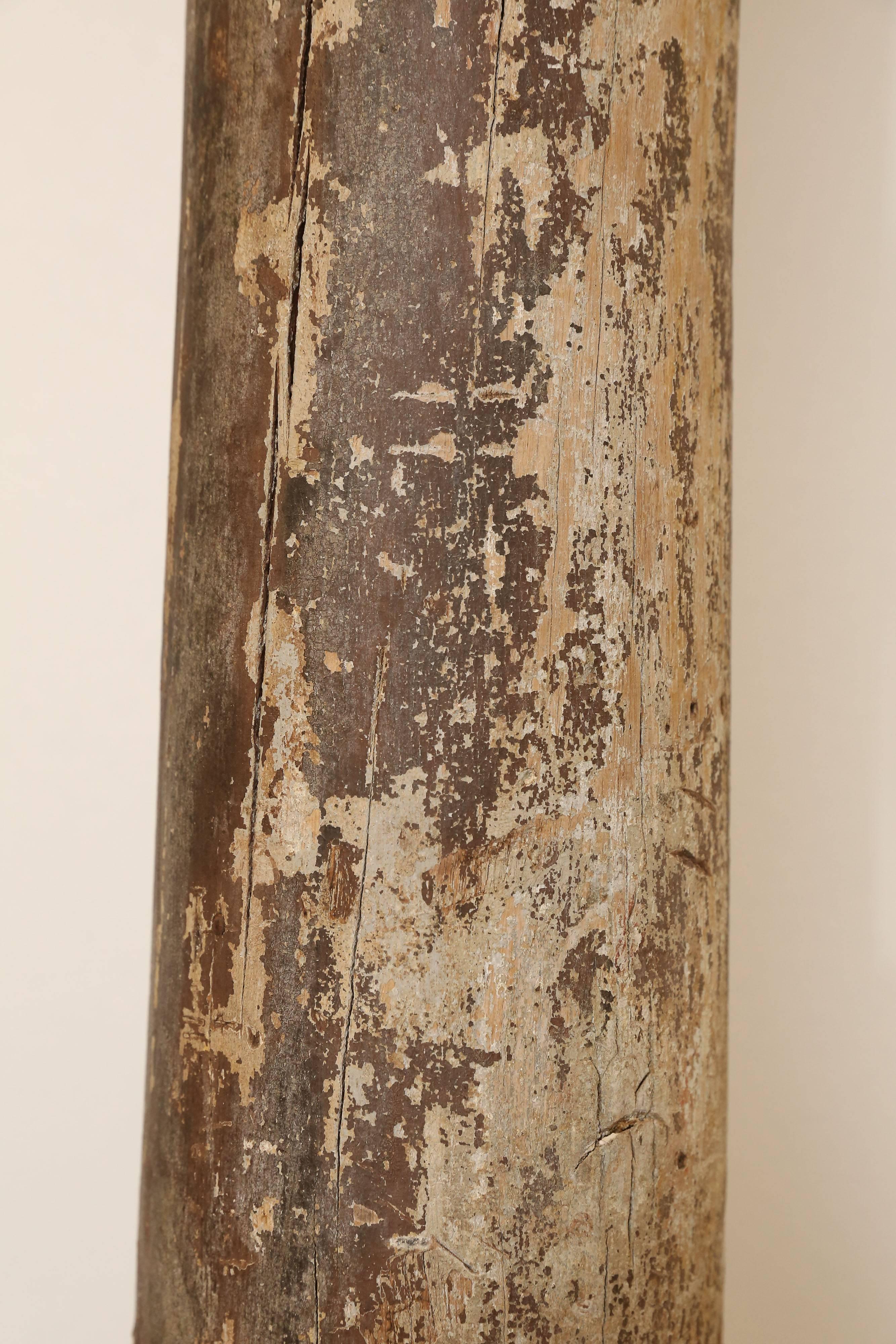 Patinated 19th Century Column For Sale 1