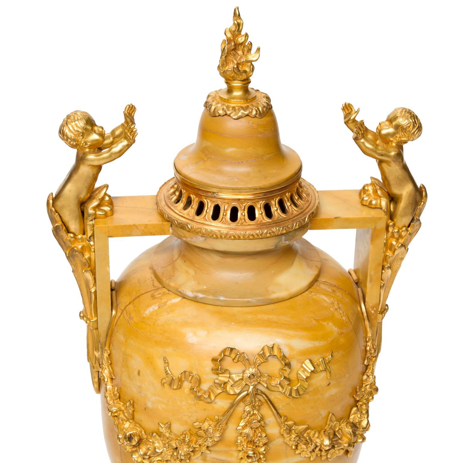 Français Grandes urnes Louis XVI en marbre et bronze doré du 19ème siècle en vente