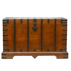 19th Century English Eucalyptus Trunk