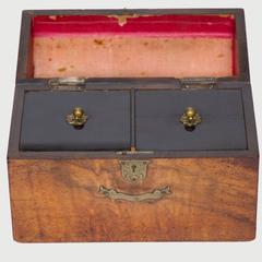 19th Century Walnut Dome Top Tea Caddy with Crest