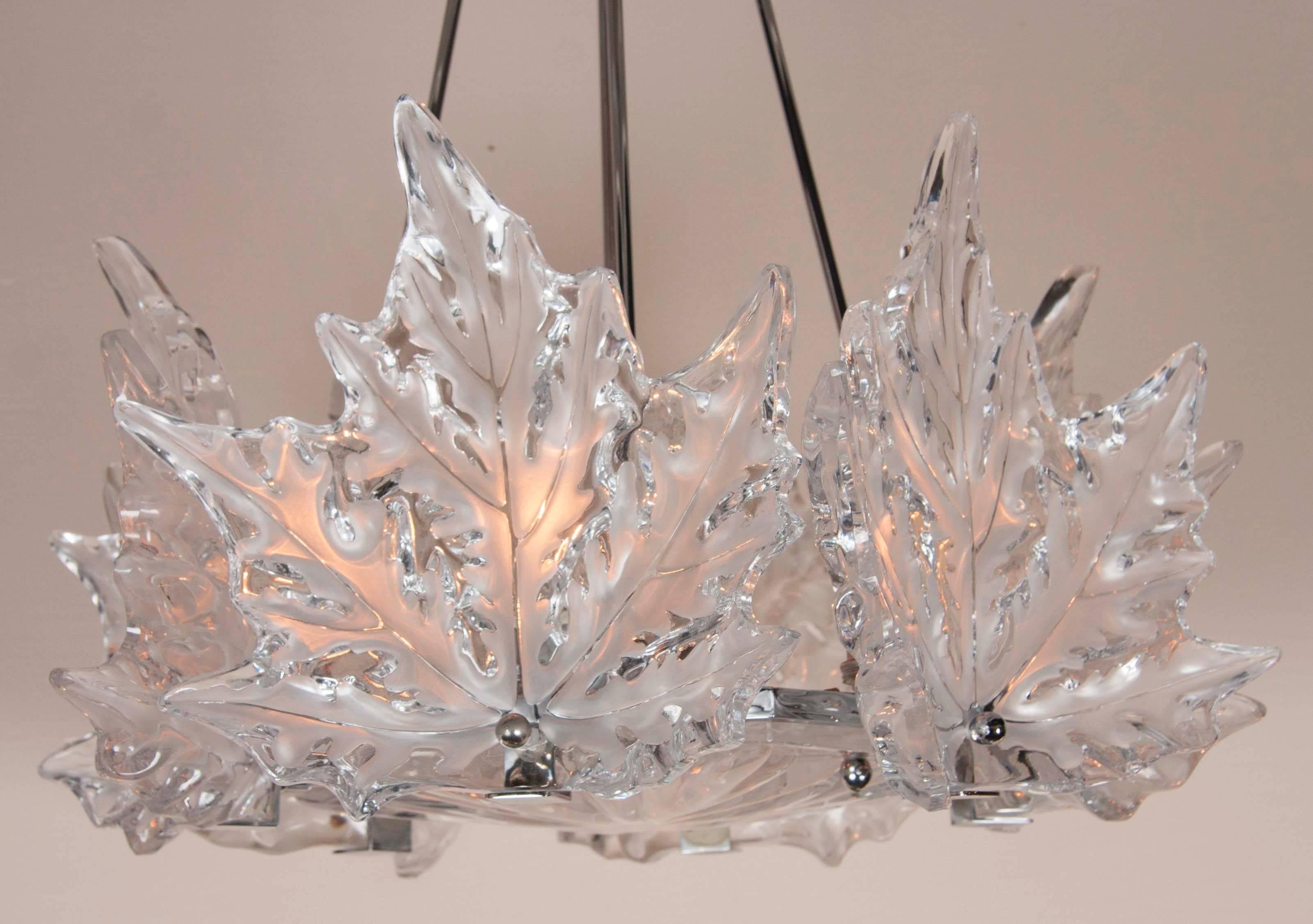 An astonishing clear and frosted crystal, chestnut leaf form Lalique chandelier with 