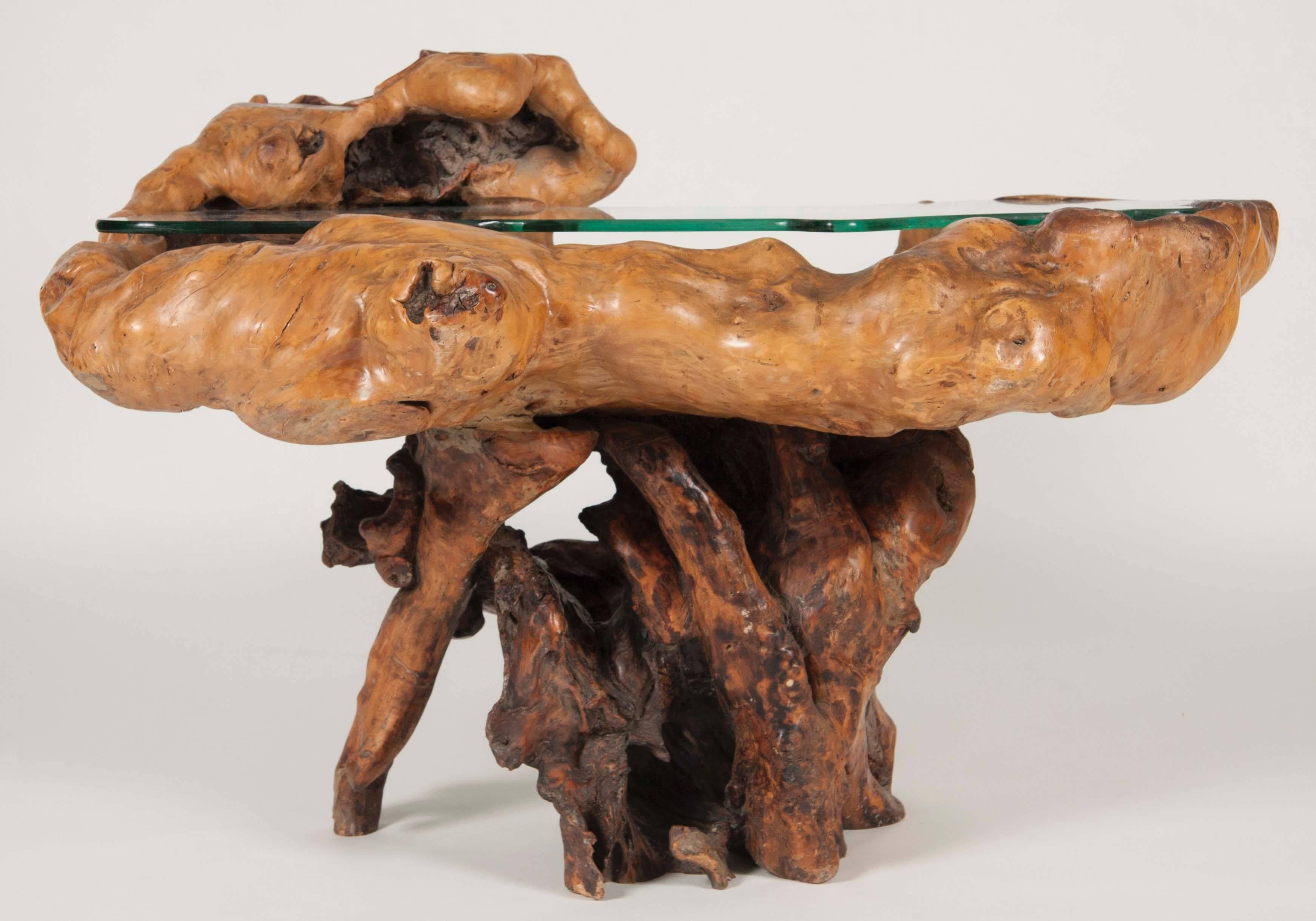 An impressive ancient Chinese scholar root now a table with custom glass top.