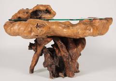 Impressive Ancient Chinese Scholar Root as Table