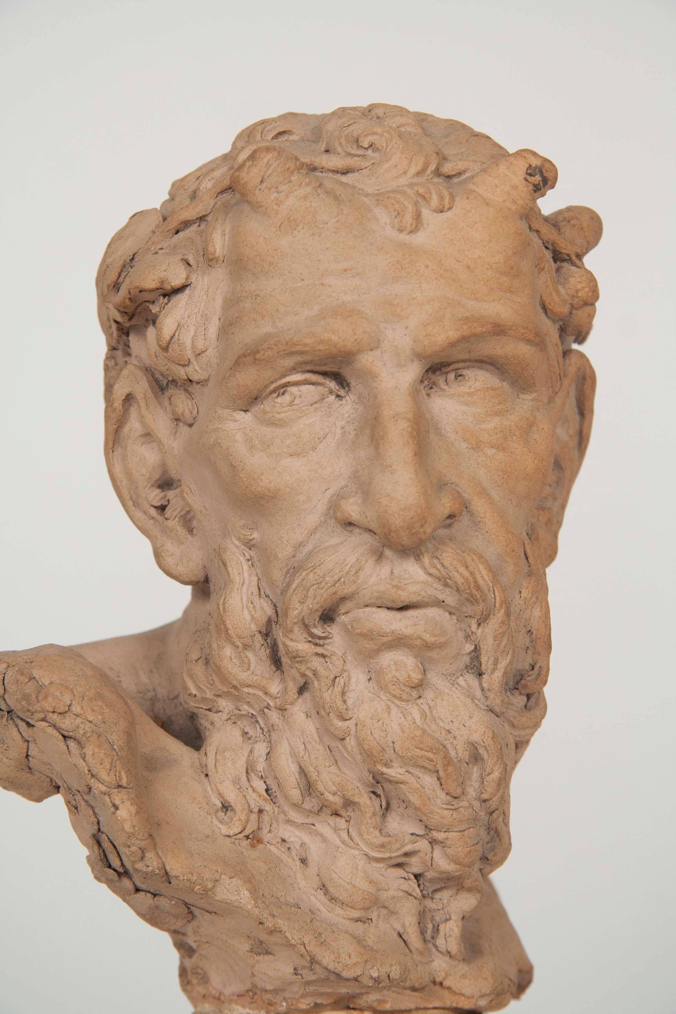 Busto di satiro in terracotta francese in vendita 1