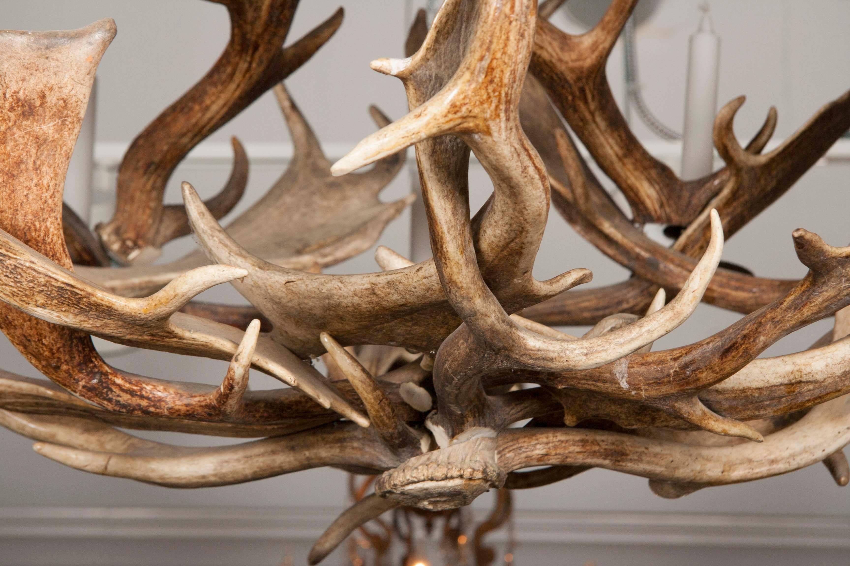 European Fallow Deer Antler Chandelier by Stan Hughes for Guinevere  3