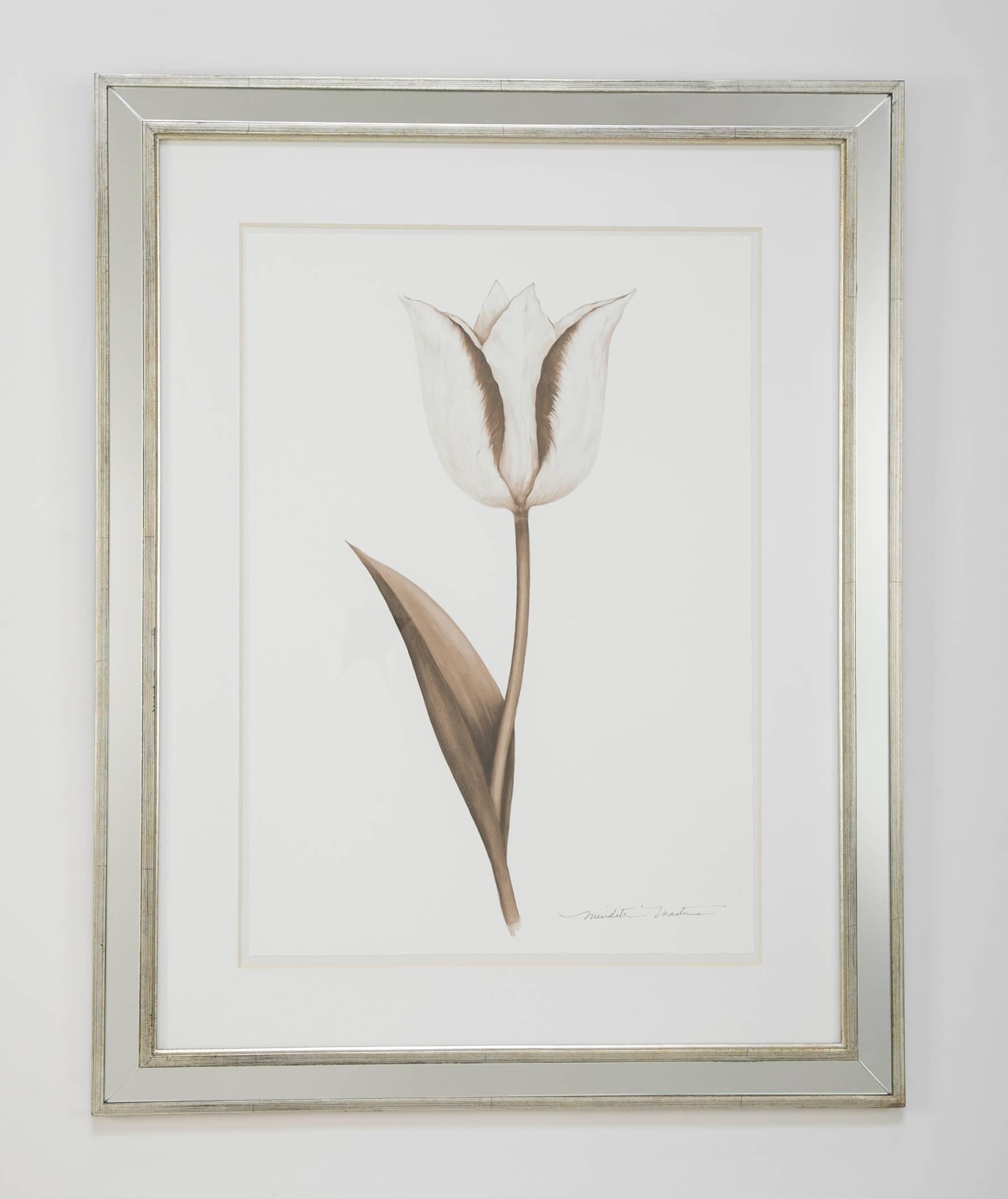 Pair of Ink Wash Drawings Depicting Tulips by Meredith Masters In Good Condition In Stamford, CT