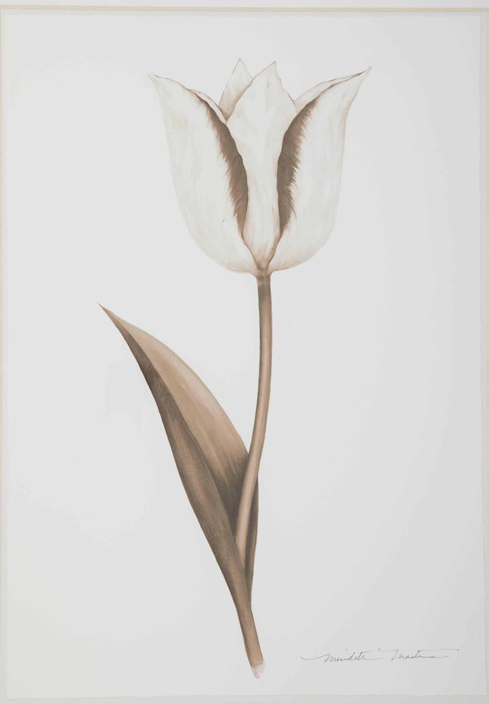 20th Century Pair of Ink Wash Drawings Depicting Tulips by Meredith Masters