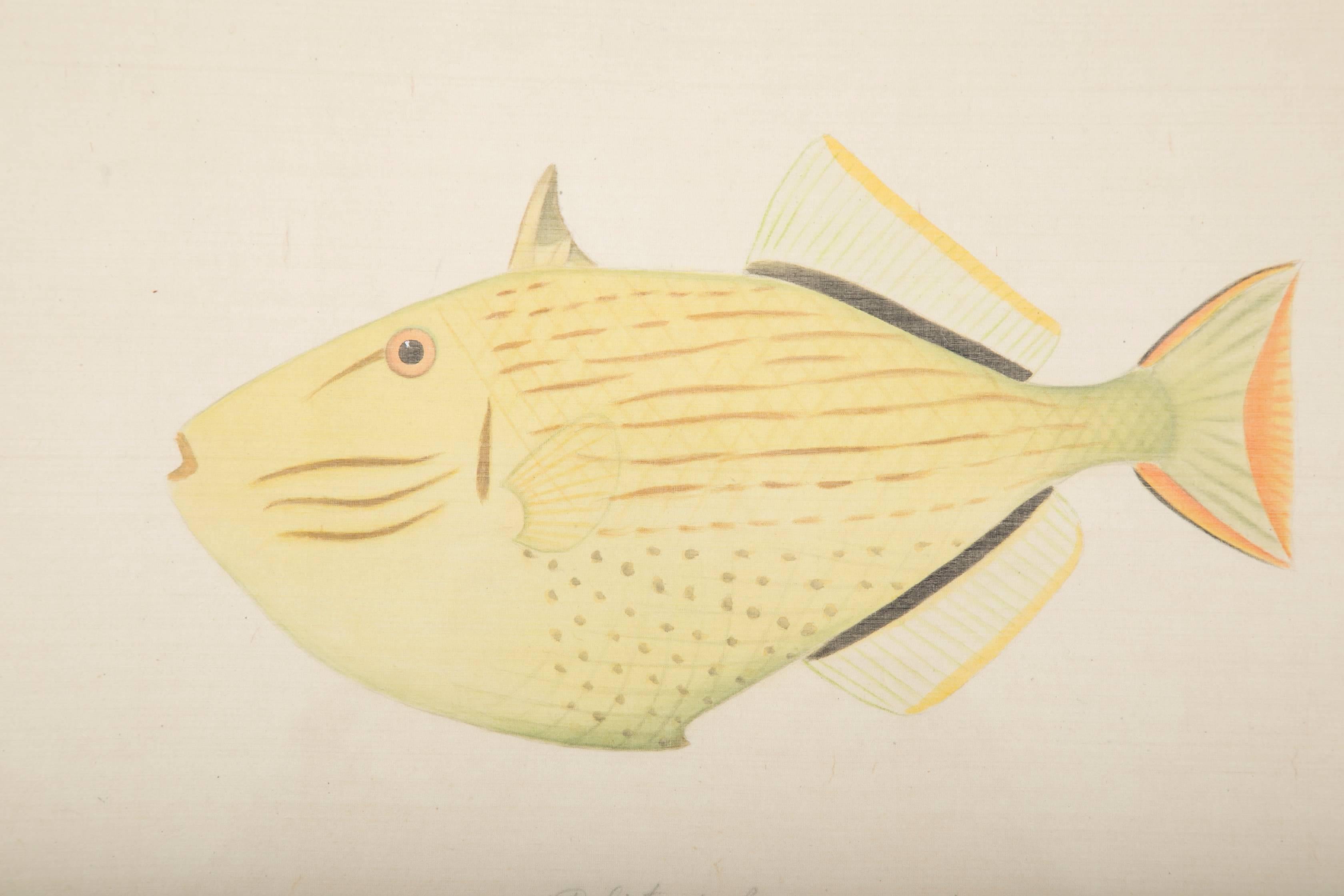 La Roche Laffitte Hand-Painted Fish on Silk In Good Condition In Stamford, CT