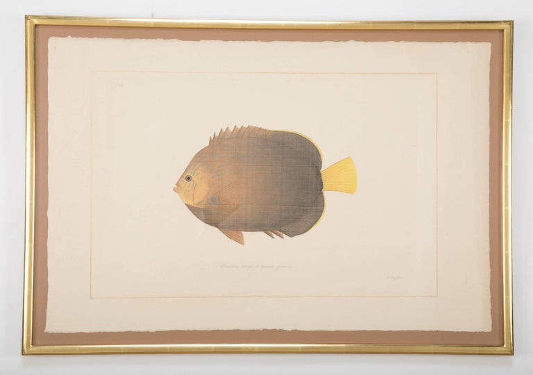 La Roche Laffitte Handpainted Fish on Silk La Roche Laffitte Handpainted Fish on Silk