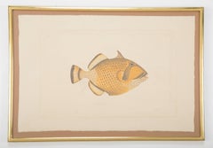 Two Framed La Roche Laffitte Hand-Painted Fish on Silk    Priced Individually