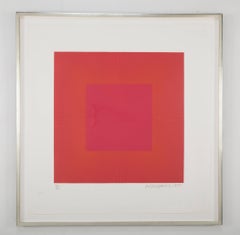 Pareja de grabados calcográficos con aguatinta de Richard Anuszkiewicz