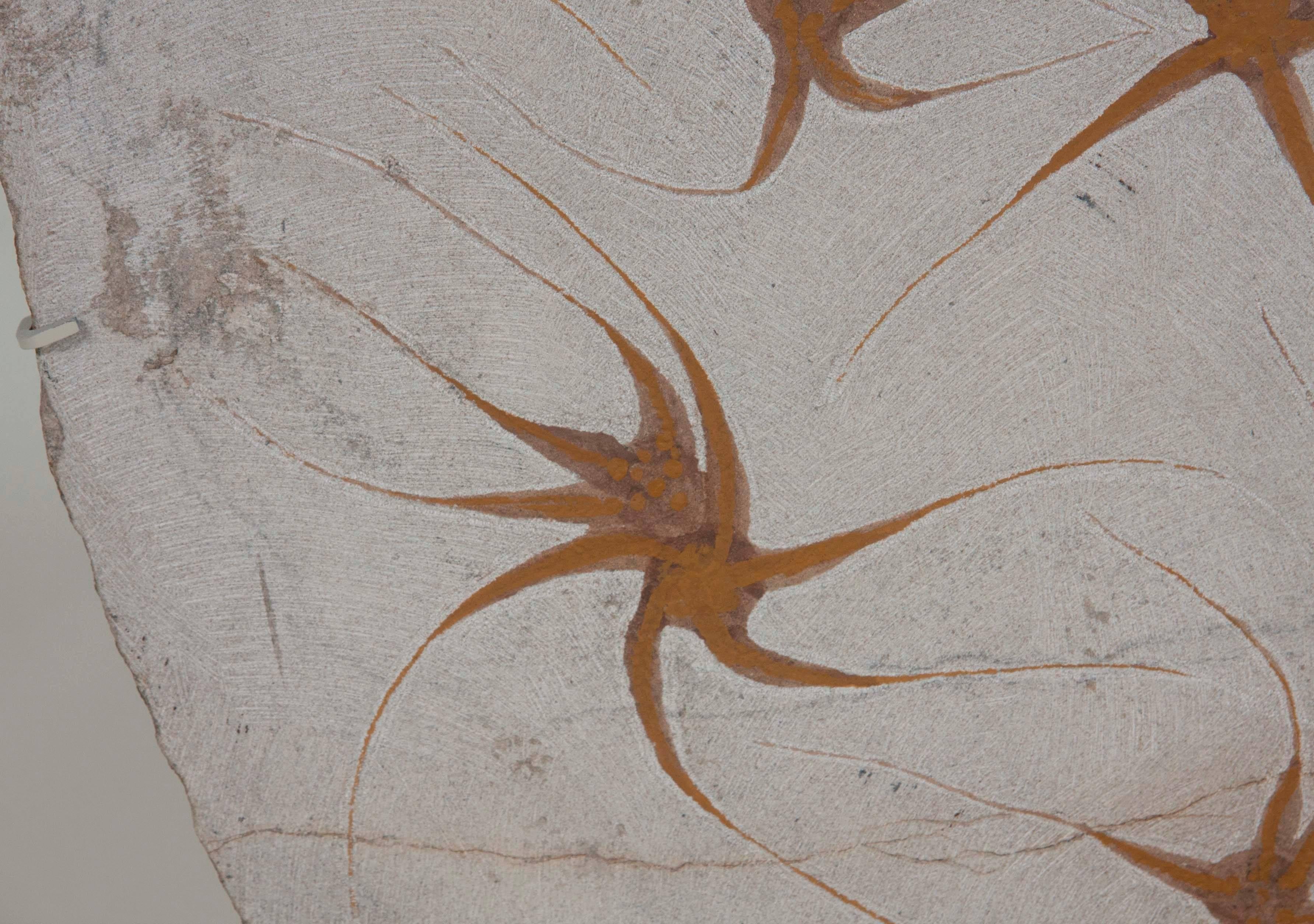 Nine Brittle Starfish Fossils 