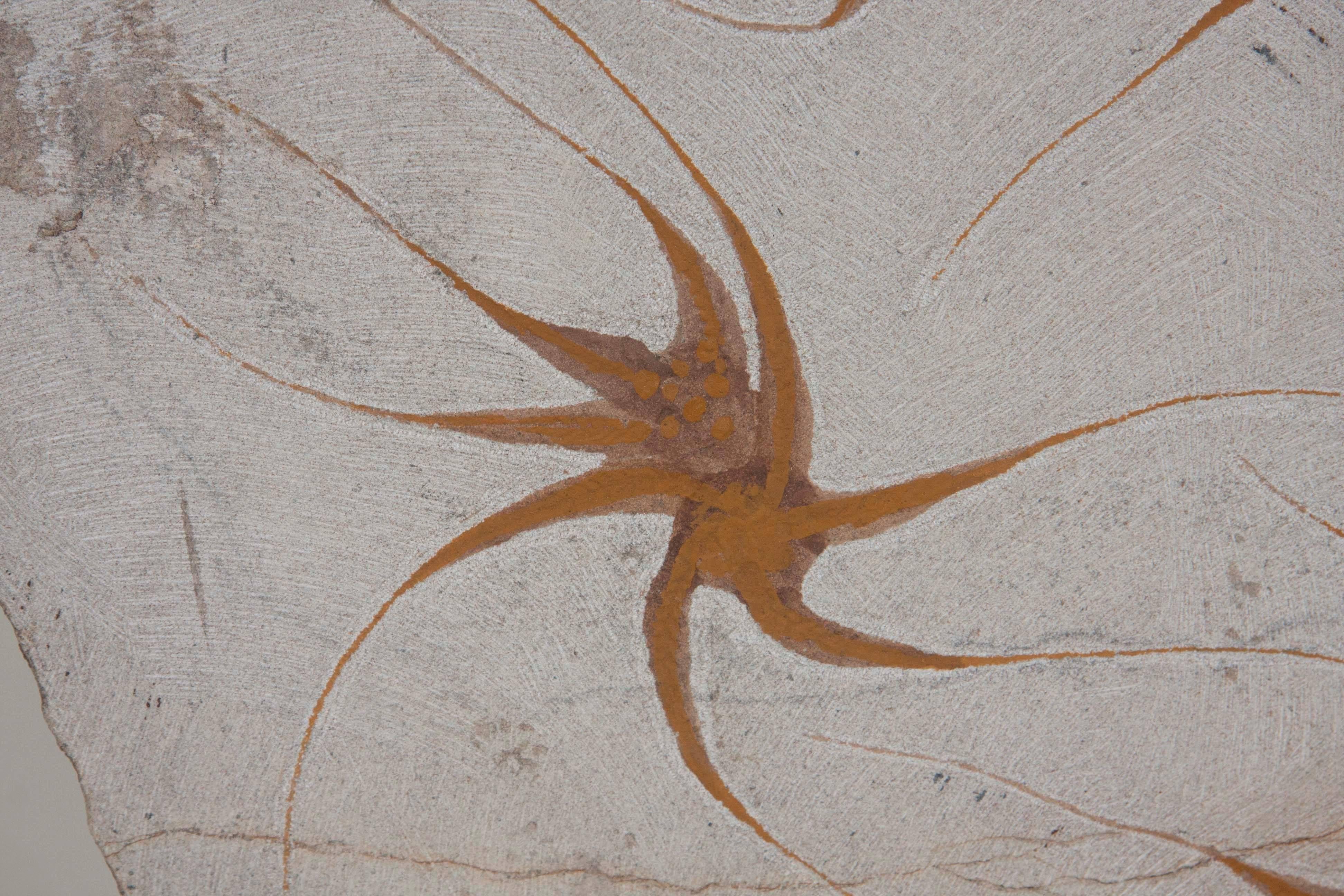 Nine Brittle Starfish Fossils 