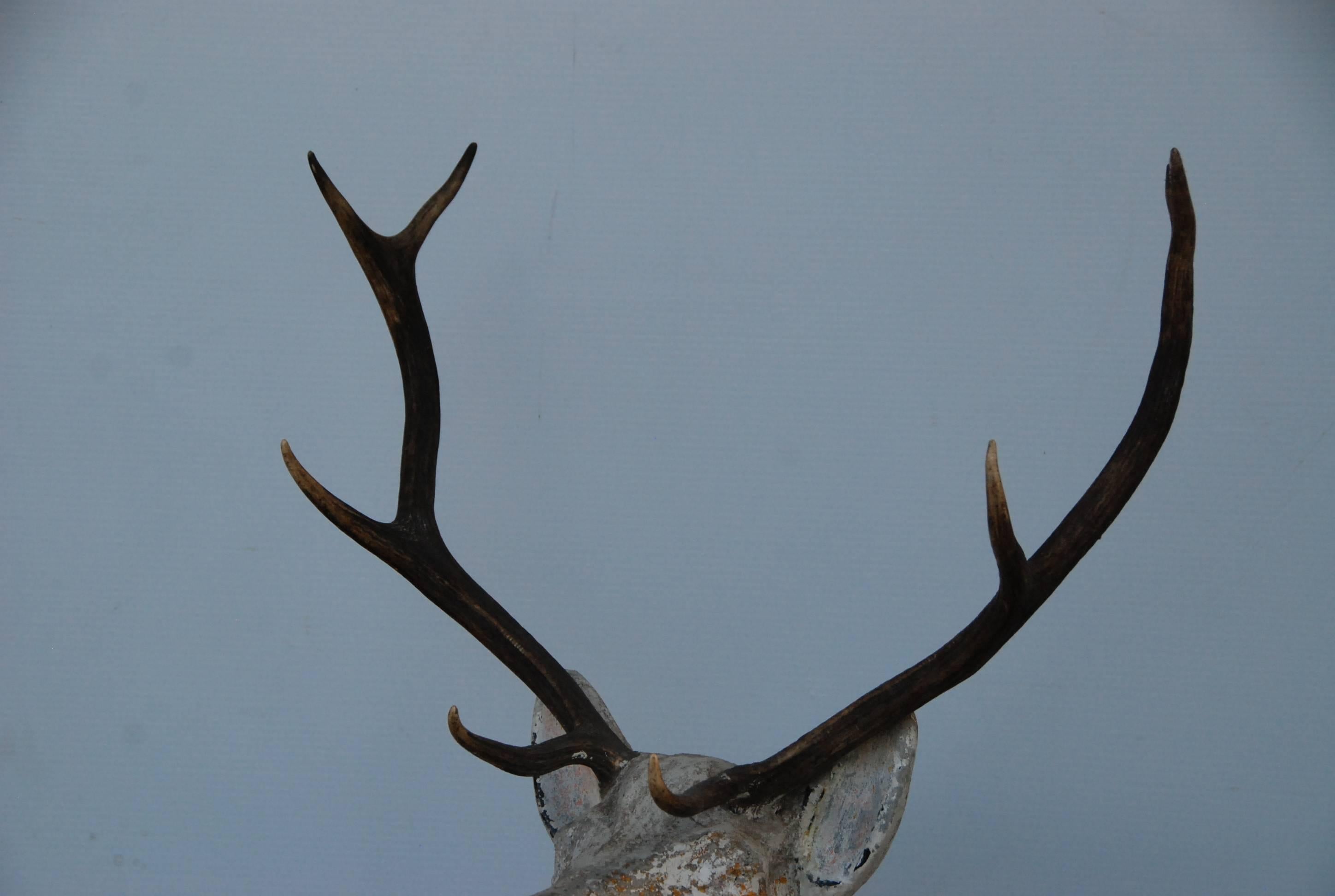 Beautiful 1940s French Garden Cement Deer with authentic  antlers.  Very majestic. Old repair on neck