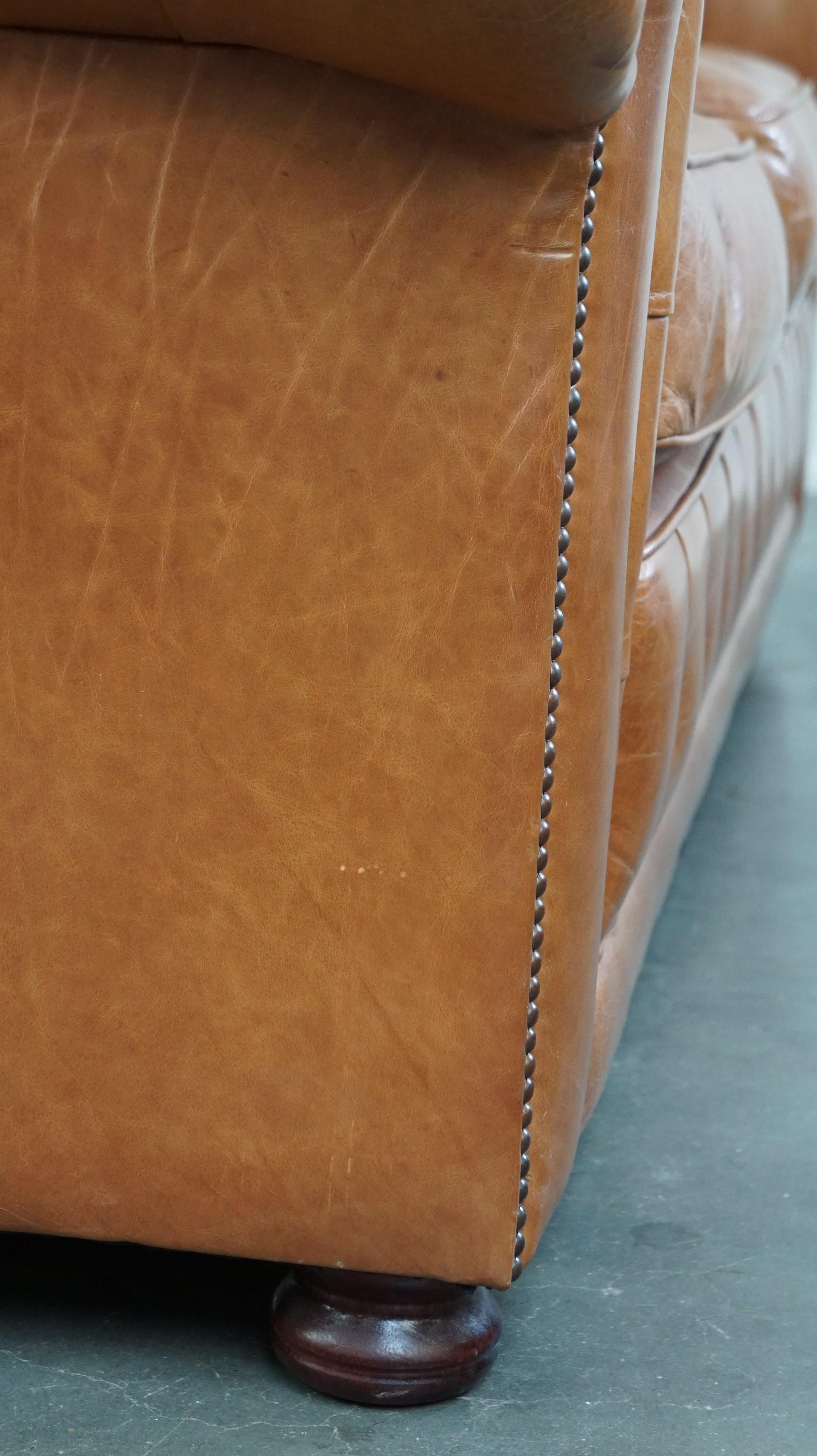 Light brown/cream-colored cowhide leather English 2.5-seater ...