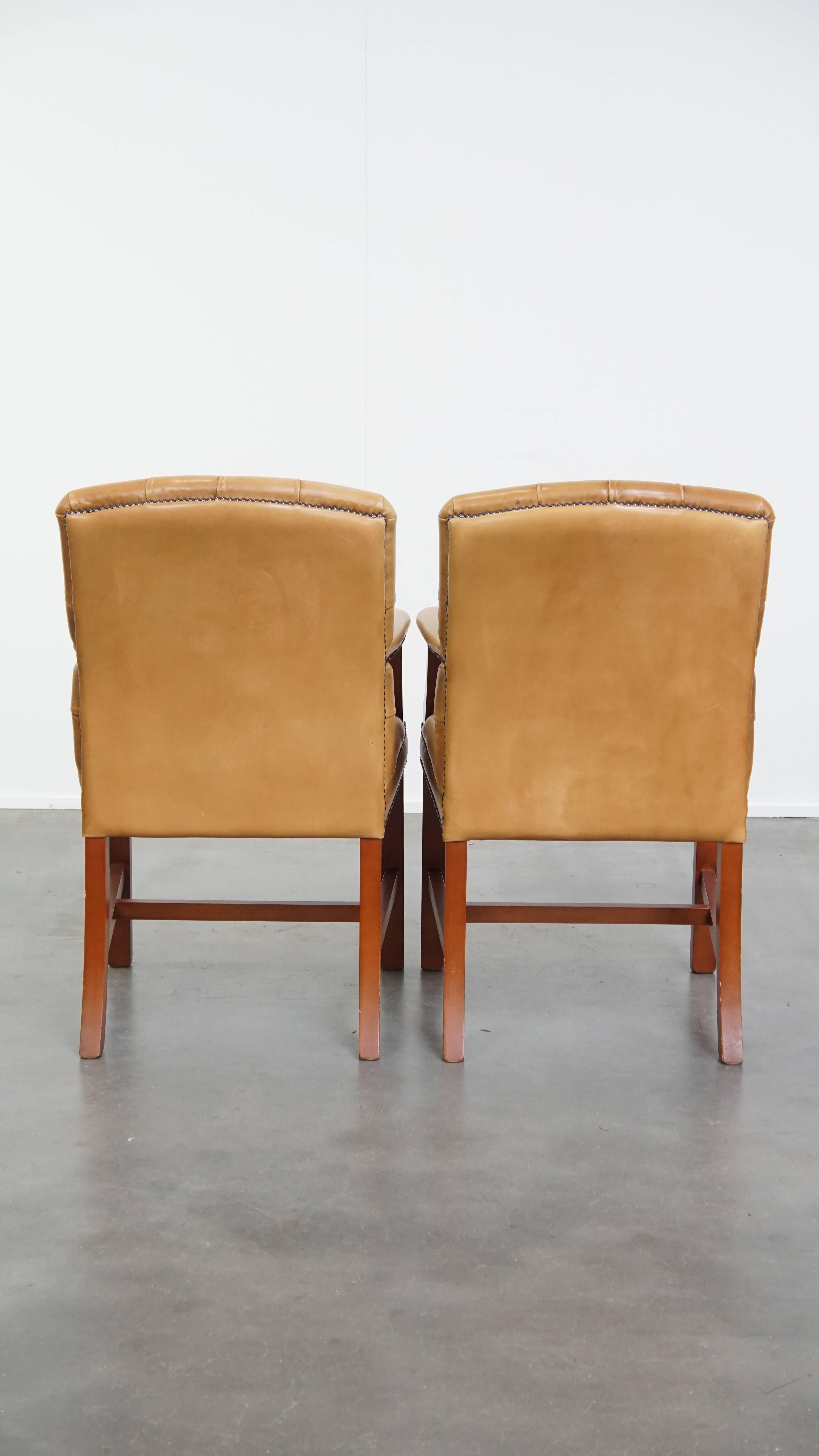 Juego de 2 sillones Chesterfield de piel de vaca en color coñac claro Romano clásico en venta