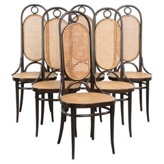 Lot de 6 chaises de salle à manger vintage originales Thonet, modèle « Long John », avec sangles