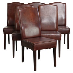 Beautiful and comfortable set of 6 sheepskin dining chairs in English style